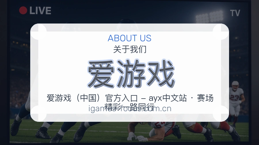 爱游戏关于我们